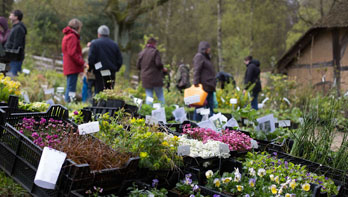 AV Kiekeberg 18-04-26